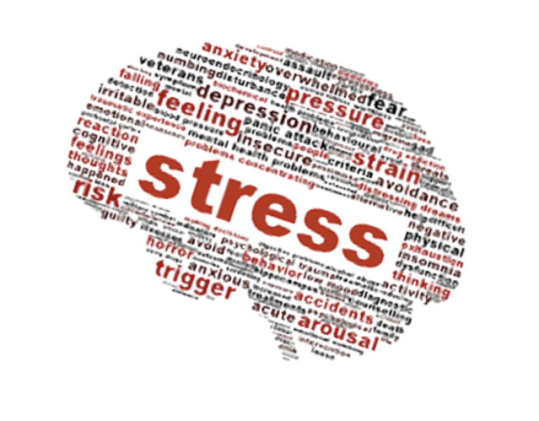 April is National Stress Awareness Month